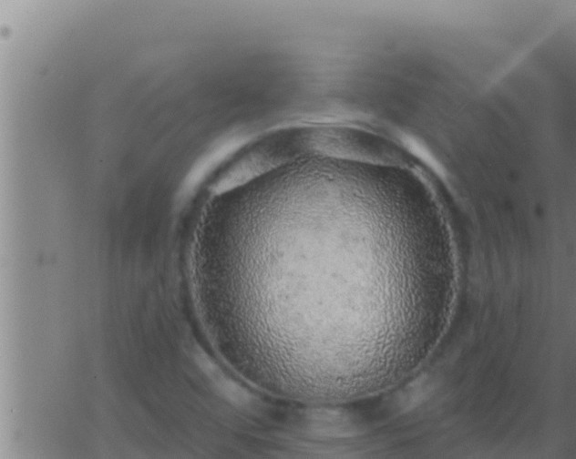 X0000062911456200601201924