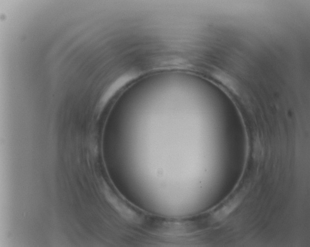 X0000062911458200601201924