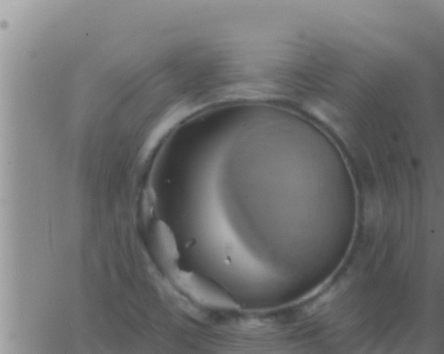 X0000062911459200601201924