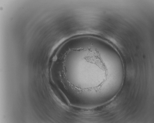 X0000062911460200601201924