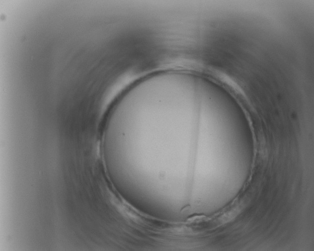 X0000062911462200601201924