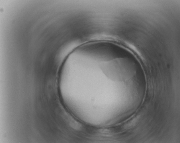 X0000062911463200601201924