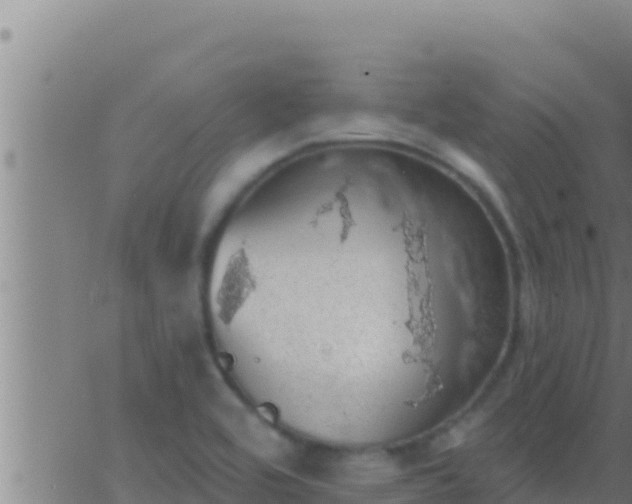 X0000062911464200601201924