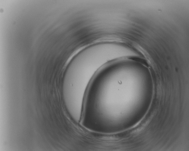 X0000062911465200601201924