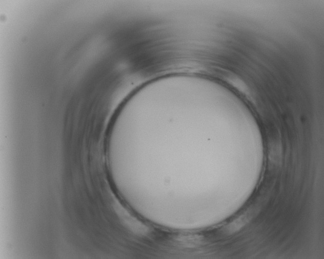 X0000062911466200601201924