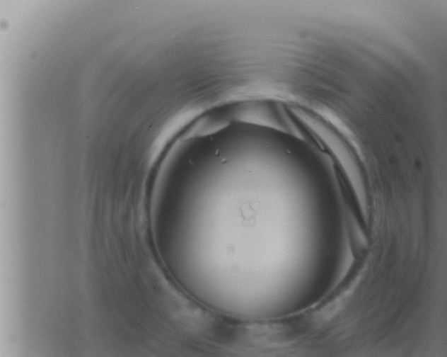 X0000062911469200601201924