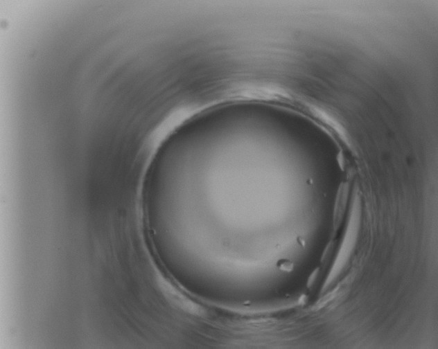 X0000062911471200601201924