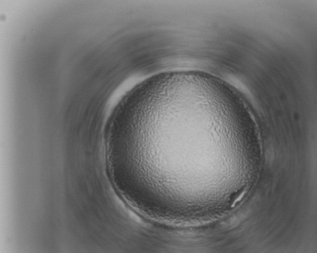 X0000062911472200601201924