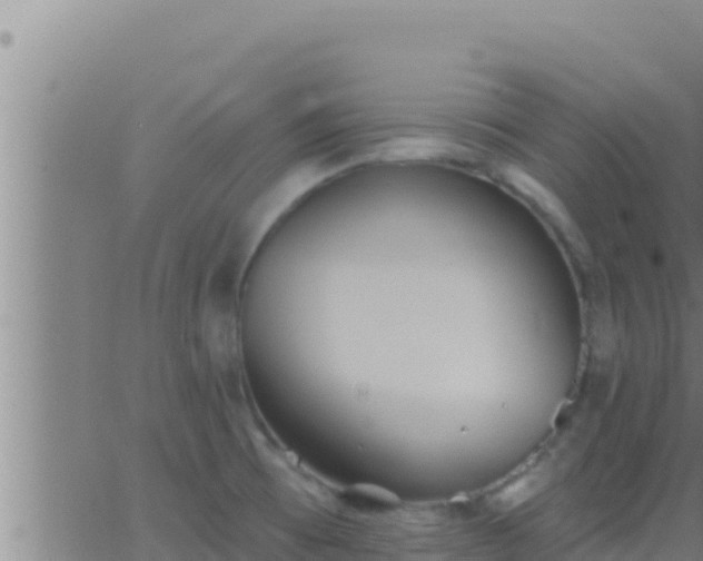 X0000062911473200601201924