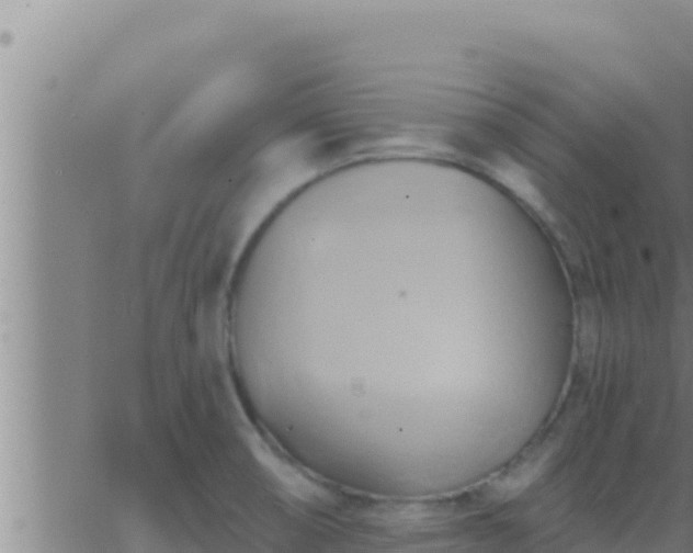 X0000062911474200601201924