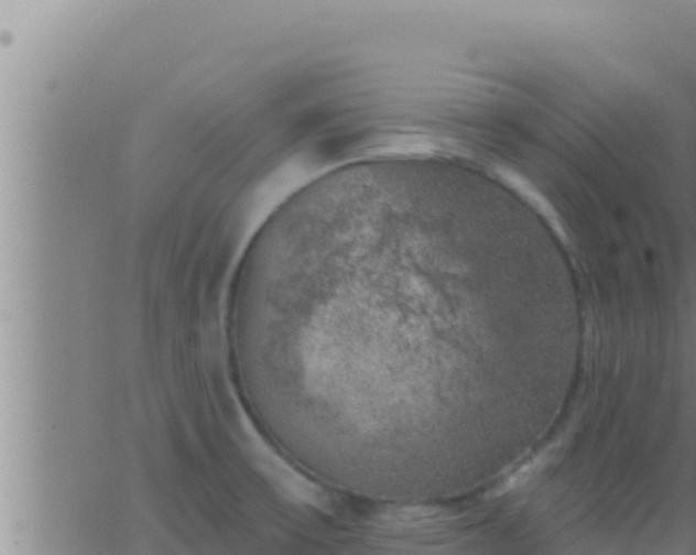 X0000062911475200601201924