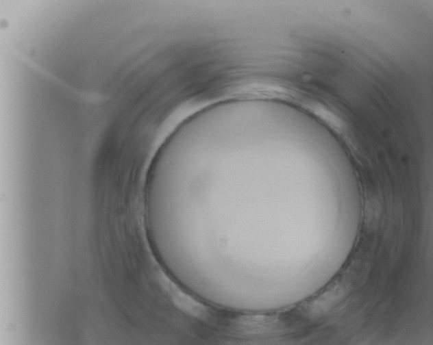 X0000062911478200601201924