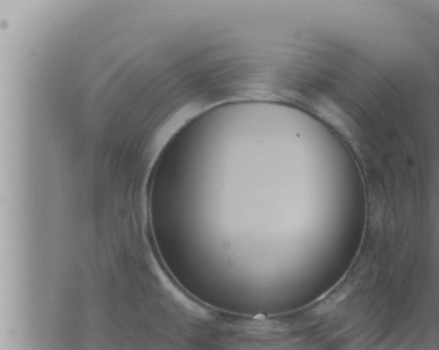 X0000062911479200601201924