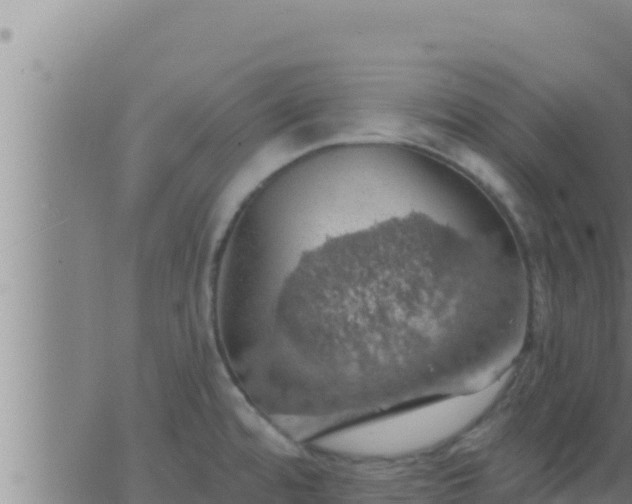 X0000062911480200601201924