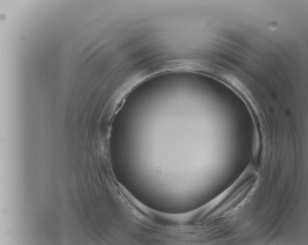 X0000062911481200601201924