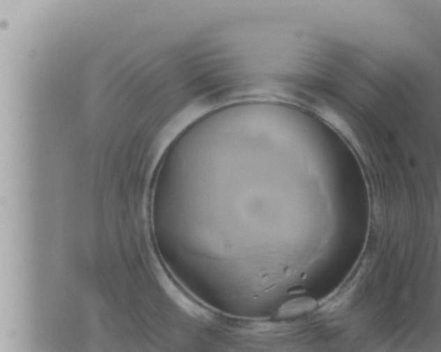 X0000062911482200601201924