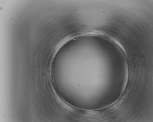 X0000062911483200601201924