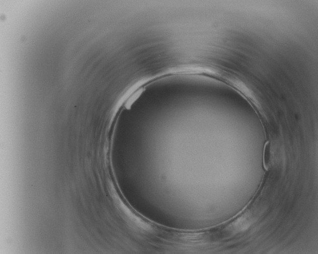 X0000062911484200601201924