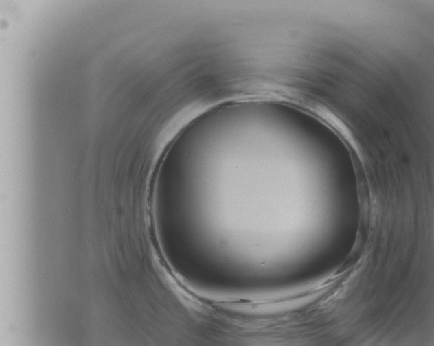 X0000062911485200601201924