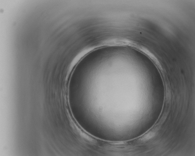 X0000062911486200601201924