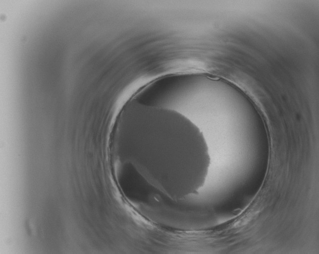 X0000062911488200601201924