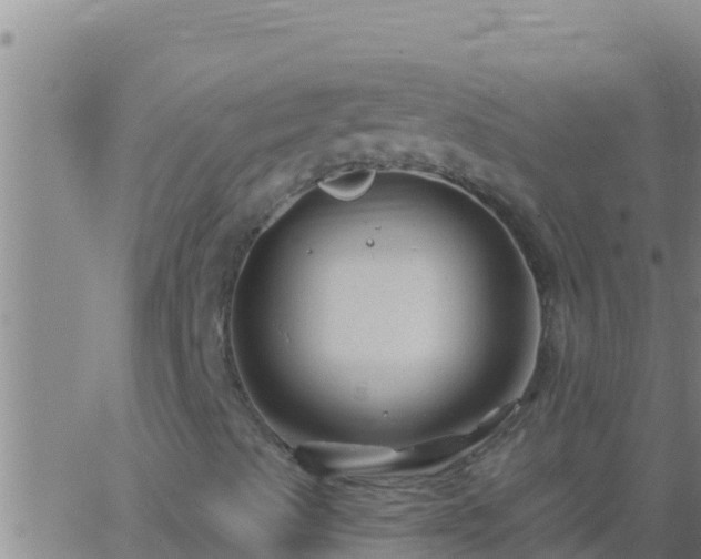 X0000062911489200601201923