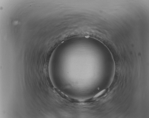 X0000062911490200601201923