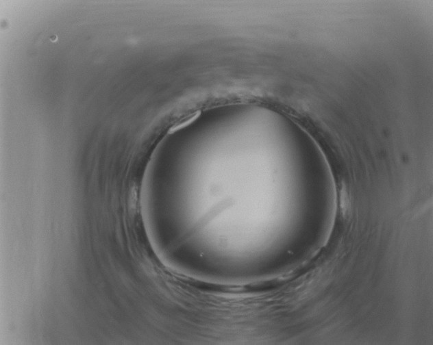 X0000062911492200601201923