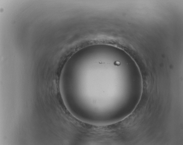 X0000062911493200601201923