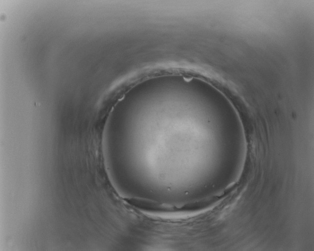 X0000062911494200601201923