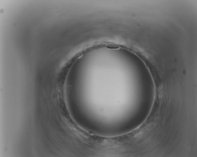 X0000062911496200601201923