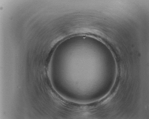 X0000062911497200601201923