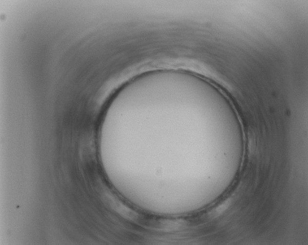 X0000062911498200601201923