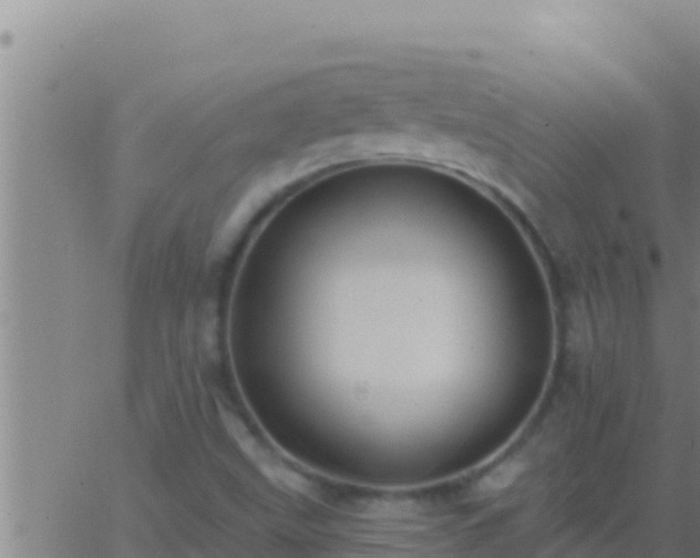 X0000062911499200601201923