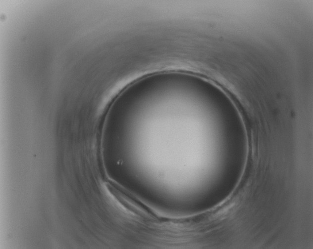 X0000062911500200601201923