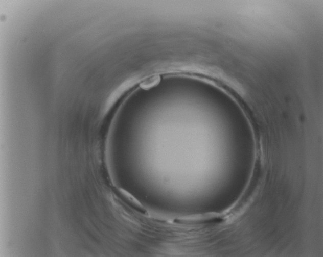 X0000062911501200601201923