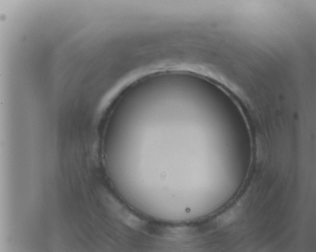 X0000062911502200601201923