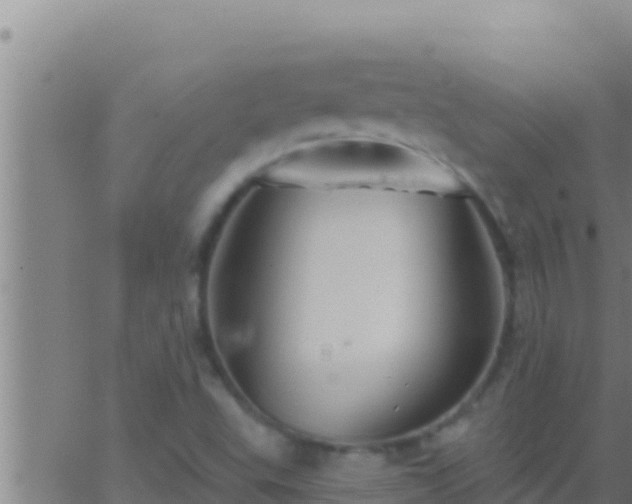 X0000062911503200601201923