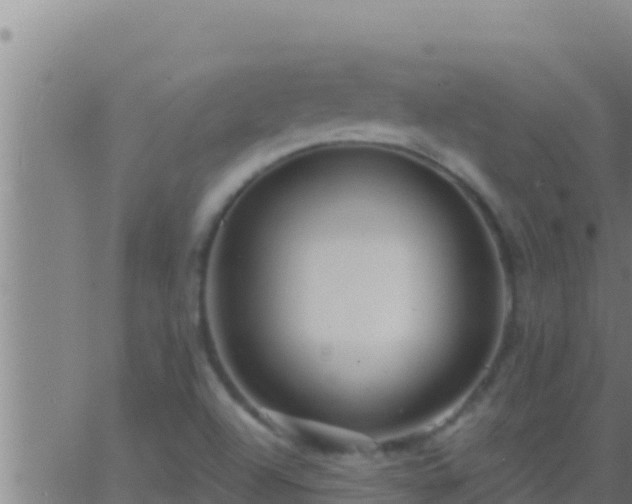 X0000062911504200601201923