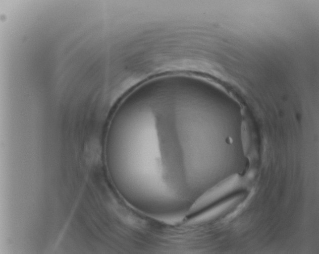 X0000062911505200601201923