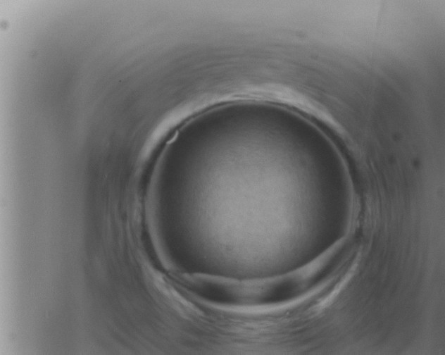 X0000062911506200601201923