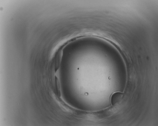 X0000062911507200601201923