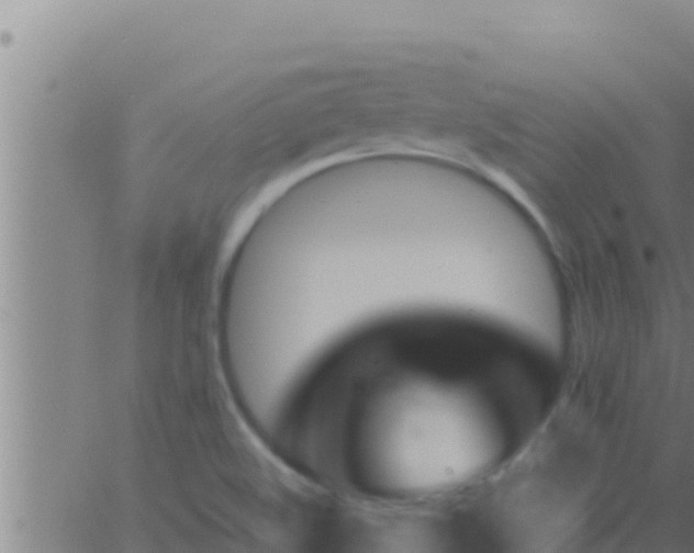 X0000062911508200601201923