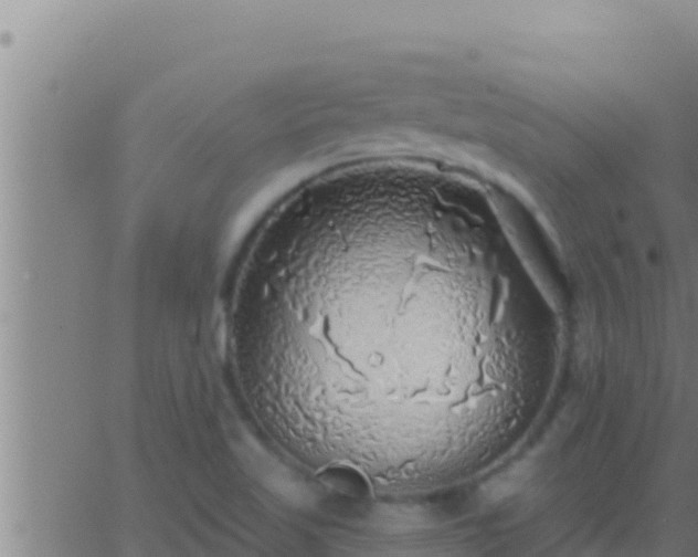 X0000062911509200601201923