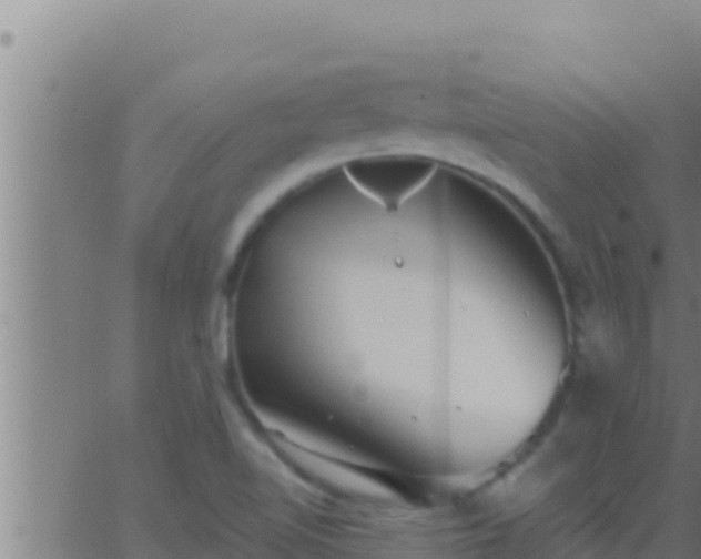 X0000062911510200601201923