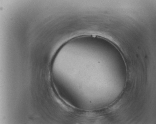 X0000062911511200601201923