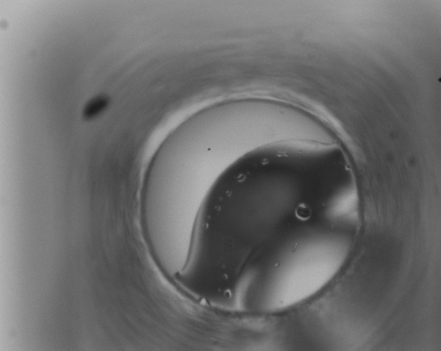 X0000062911512200601201923