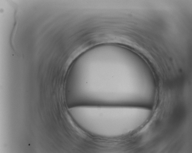 X0000062911513200601201923