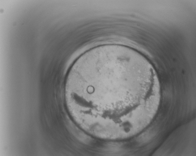 X0000062911514200601201923