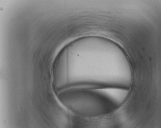 X0000062911515200601201923